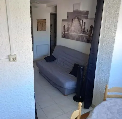 Raisin D'or, T2, Parking, Piscine Agde